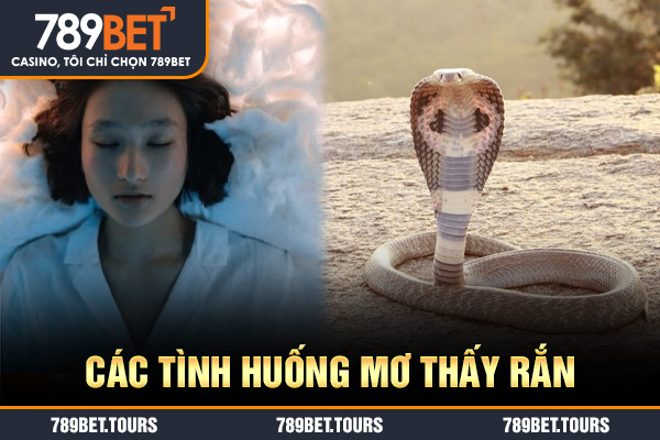 Các tình huống mơ thấy rắn
