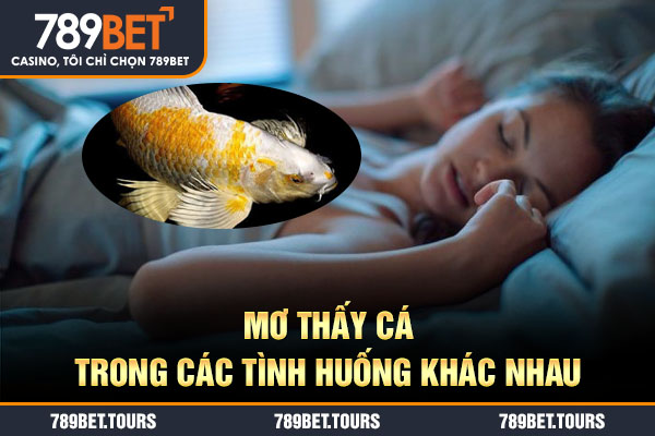 Mơ thấy cá trong các tình huống khác nhau